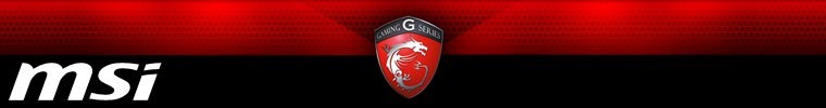 MSI Gaming2